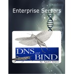 DNS Server The Enterprise Way:: Agustin Velasco